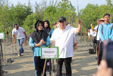 Gubernur Hidayat Arsani Pimpin Penanaman Massal 3.300 Bibit di Pantai Menuang