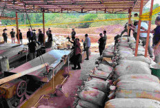 Bareskrim Polri Gerebek Lokasi Pengelolaan Pasir Timah Ilegal di Beltim, Dua Orang Diamankan