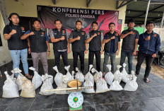 Polres Bangka Sikat Kolektor Timah Ilegal di Baturusa, 782 Kg Pasir Timah Disita!