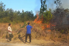 Satgas Karhutla Bangka Maksimalkan Hentikan Kebakaran Hutan dan Lahan