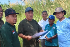 Maksimalkan Potensi HKm, Pemprov Babel dan Pemkab Bangka Tengah Wacanakan Perkebunan Kelapa di Batu Beriga