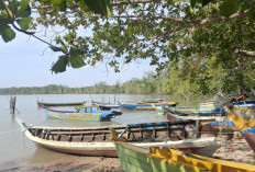 Triliunan Menguap Akibat Tambang Ilegal di Babel, Kedaulatan Negara Harus Dikembalikan Melalui PT Timah