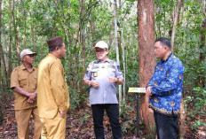 Kemenkum Babel Pantau dan Dokumentasikan Jamur Pelawan Namang untuk Sertifikasi Indikasi Geografis