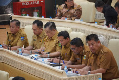  Perkuat Sinergi Pemerintah Pusat dan Daerah, Gubernur Babel Buka Persoalan di DPR RI
