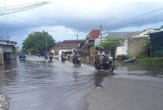 Banjir Rob Rendam Rumah Warga Kampung Opas Pangkalpinang