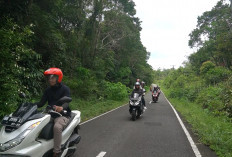 Honda Babel Hadirkan PCX160 Bikers Playland, Perjalanan Spesial Ayah dan Anak dalam Satu Momen Penuh Makna