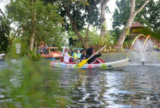 Tins Green Garden Foresttree Diresmikan, PT Timah Tbk Hadirkan Ruang Terbuka Hijau Ramah Anak