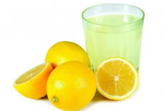 Minuman Lemon dan Biji Chia Ampuh Mengatasi Sembelit