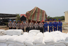 Atas Tepung Tapioka, Bawah Balok Timah, Tertangkap di Pelabuhan Mentok