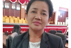 Rina Tarol Soroti Pelanggaran Hukum: LP2B di Bangka Selatan Beralih Fungsi Jadi Perkebunan Sawit dan Tambang