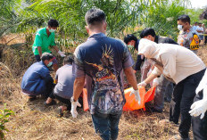 Berawal dari Bau Menyengat, Warga Desa Kace Temukan Jasad Perempuan di Kebun Sawit