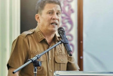 Bupati Fery Insani Prihatin, Jembatan Penghubung Desa Mapur Diduga Sengaja Dibakar Hangus