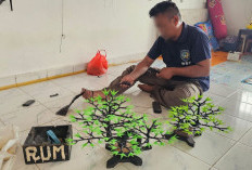 Warga Binaan Lapas Pangkalpinang Sulap Kantong Plastik Bekas dan Spunbond Jadi Bonsai