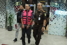 Tipikor 15 Kontainer LTJ PT PMM, Pejabat Balai Laboratorium Bea Cukai Jakarta Juga Kena Getah