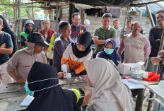 Wabah Malaria di Belinyu Meluas, Bupati Bangka Segera Tetapkan Status KLB