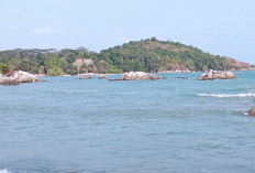 Pantai Gunung Namak Diduga Jadi Jalur Penyelundupan Timah, Nelayan Ungkap Bongkar Muat Malam Hari hingga Spe