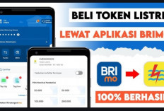 Tak Perlu Lagi ke Kota, IRT di Empat Lawang Ini Terbantu Beli Token Listrik Lewat BRImo