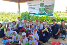 Farm Estate PT Timah Tbk Jadi Sarana Edukasi Pelajar tentang Produktif Pertanian