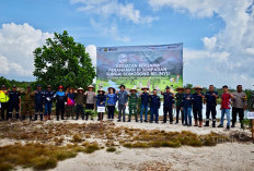 Aksi Nyata Hari Lingkungan Hidup, PT Timah Tanam Ratusan Pohon di Sempadan Sungai Romodong 