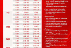 PLN Hadirkan Promo “Merdeka Day”, Diskon Tambah Daya 50% Lewat PLN Mobile