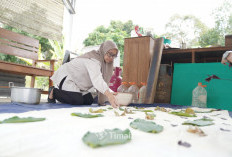 Ini Deretan Program PT Timah Tbk untuk UMKM Makin Melesat, Ada Pameran hingga Pelatihan 