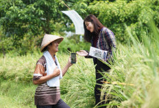 Indeks Bisnis UMKM BRI Q3-2025: Ekspansi Berlanjut, Optimisme Pelaku Usaha Semakin Meningkat 