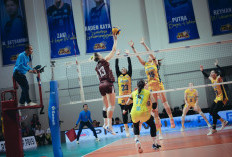 Tundukkan Jakarta Livin Mandiri 3-0, Jakarta Electric PLN Mobile Amankan Tiket Final Four Proliga 2026