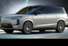 Charging Cepat, Daya Tempuh Jauh, BYD Denza N8L l Dijual Segini