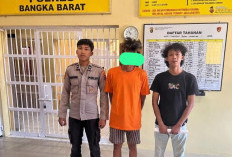 Gauli Gadis Bawah Umur, Warga Belinyu Masuk Sel Polres Bangka Barat