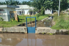 Pengairan Sawah Rias Keruh, Diduga Ada Aktivitas Penambangan 