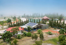 PT Timah Perkuat Langkah Dekarbonisasi, Bidik Net Zero Emission 2060