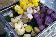 Turun BB dengan Konsumsi Ubi Jalar Rebus dan Panggang 