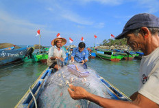 Sejak 2022, PT Timah Tbk Fasilitasi Ribuan Nelayan Peroleh Perlindungan BPJS Ketenagakerjaan