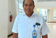 BKKBN Babel Dorong Peran Ayah Dari Desa - Pejabat Dalam Pengasuhan Anak