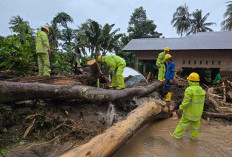 Gubernur Sumbar Apresiasi Kerja PLN Pulihkan Listrik Pascabencana