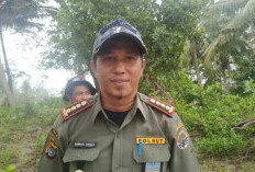 Pejabat Dishut Babel Diperiksa Ramai-Ramai, Bambang Trisula & Mardiansyah Diperiksa Barengan