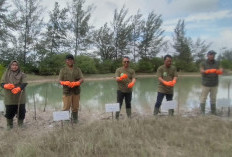 Peringati Hari Lingkungan Hidup Sedunia 2026, PLTU Bangka Tanam 500 Bibit Bakau di Pantai Takari