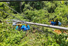 Cuaca Ekstrem Picu Tiang Listrik Roboh di Toboali, PLN Lakukan Pemulihan Cepat