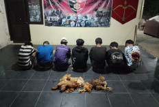 Komplotan Remaja Pencuri Kue dan Ayam Dibekuk Polres Bangka, Hasil Kejahatan Digunakan untuk Narkoba dan Miras