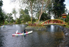 Hijau, Nyaman dan Edukatif: Tins Green Garden Foresttree Jadi Destinasi Favorit Warga