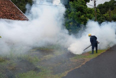 Cegah DBD di Wilayah Operasional Perusahaan, PT Timah Tbk Lakukan Fogging hingga Sosialisasikan 3M