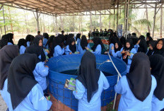 Siswa SMK IT Jamalullail Eksplorasi Kampoeng Reklamasi Air Jangkang PT TIMAH 