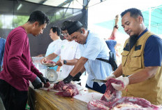 PLN UIW Babel Distribusikan Ribuan Paket Daging Kurban Dalam Moment Idul Adha 1447 H