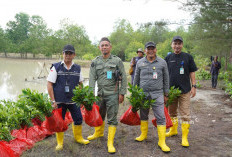 Lewat Program TJSL, PT Timah Tbk Tanam Belasan Ribu Mangrove di Kundur & Meranti untuk Jaga Ekosistem Pesisir