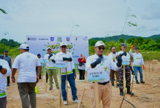 Menjawab Krisis Ekologis: PLN Babel Rehabilitasi Lahan Kritis dengan Penanaman 12.500 Pohon di HMPI 2025 