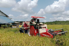 Program Benih Padi Mandiri, Gapoktan Dungun Raya Panen Bersama 