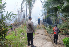 Polres Bangka Tengah Tangani 3 Karhutla di Hari yang Sama, Total Sekitar 5,5 Hektare Berhasil Dipadamkan