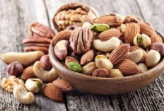 Kamu Diet? Ngemil Kacang Aja, Ini 4 Manfaatnya