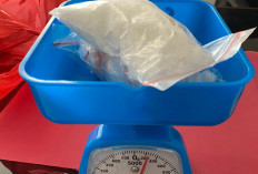 Seorang Pria di Pangkalpinang Diamankan Polda Babel Karena Sabu