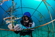 Menjaga “Jantung” Sunda Shelf